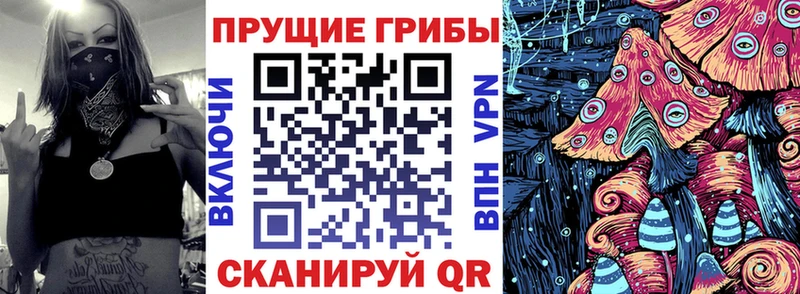 Купить закладки  Каменск-Уральский  Псилоцибиновые грибы мицелий 